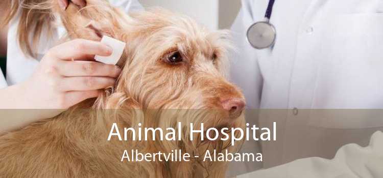 Animal Hospital Albertville - Alabama