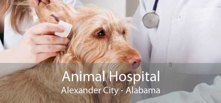 Animal Hospital Alexander City - Alabama