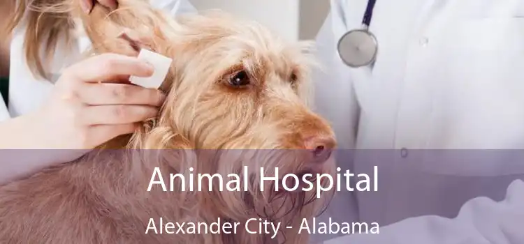 Animal Hospital Alexander City - Alabama
