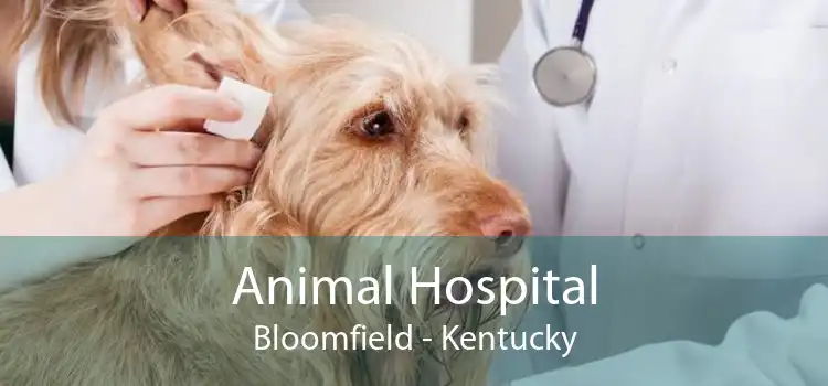 Animal Hospital Bloomfield - Kentucky
