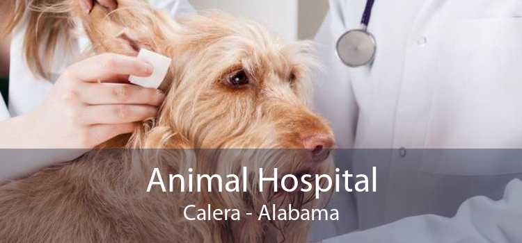 Animal Hospital Calera - Alabama