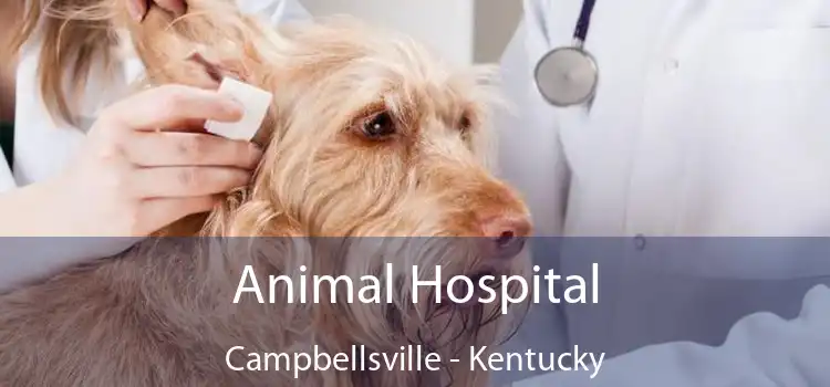 Animal Hospital Campbellsville - Kentucky