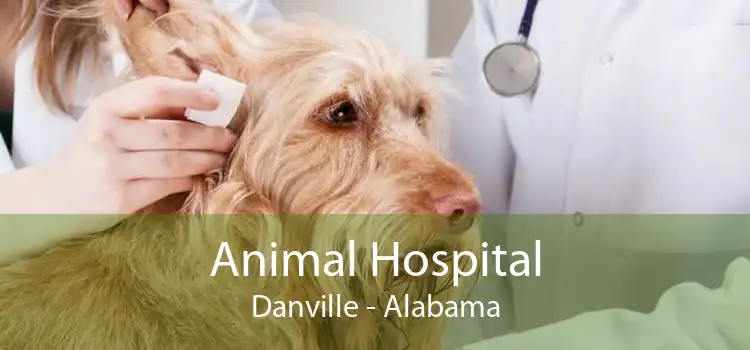 Animal Hospital Danville - Alabama