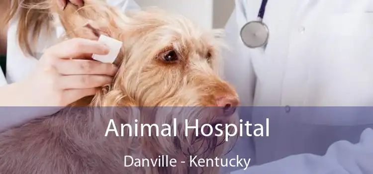 Animal Hospital Danville - Kentucky