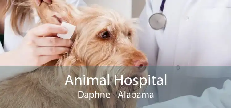 Animal Hospital Daphne - Alabama