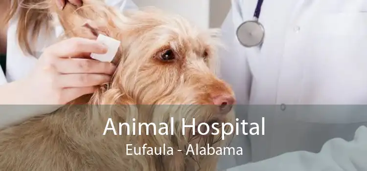 Animal Hospital Eufaula - Alabama