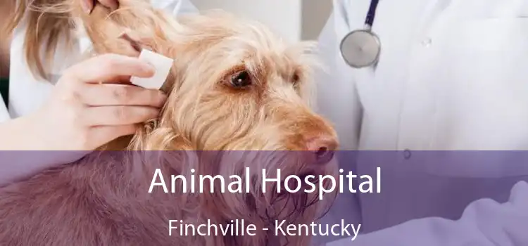 Animal Hospital Finchville - Kentucky