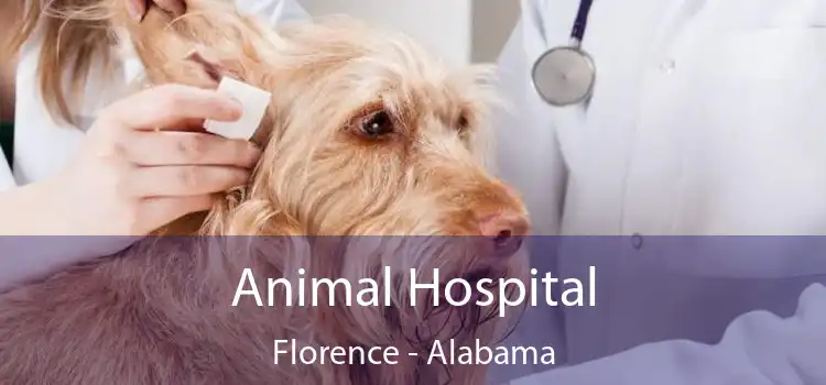 Animal Hospital Florence - Alabama