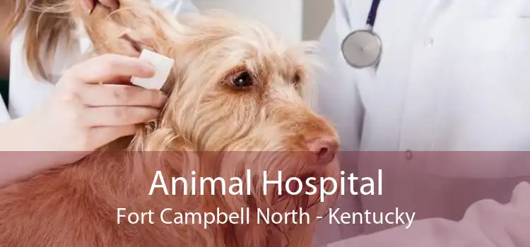 Animal Hospital Fort Campbell North - Kentucky