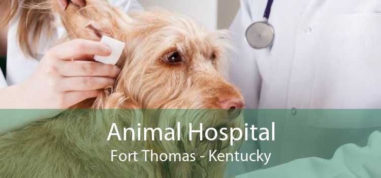 Animal Hospital Fort Thomas - Kentucky