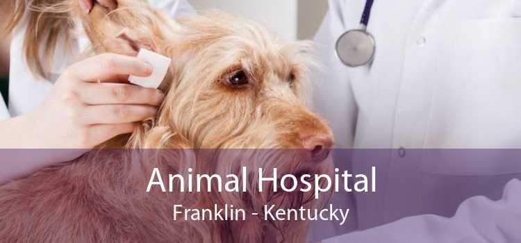 Animal Hospital Franklin - Kentucky