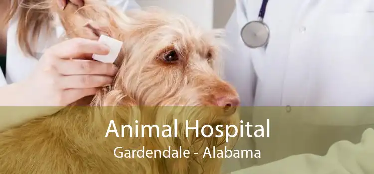 Animal Hospital Gardendale - Alabama
