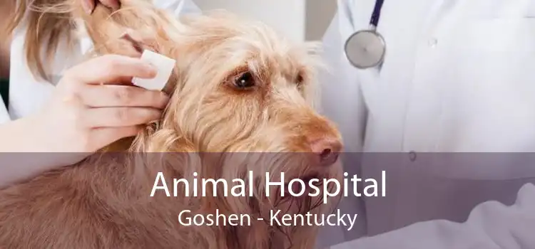 Animal Hospital Goshen - Kentucky