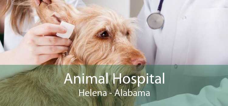 Animal Hospital Helena - Alabama