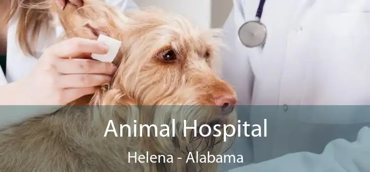 Animal Hospital Helena - Alabama