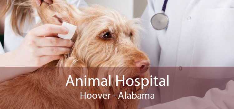 Animal Hospital Hoover - Alabama
