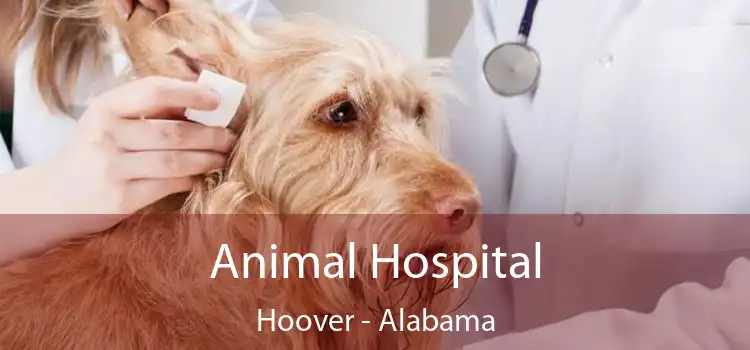 Animal Hospital Hoover - Alabama