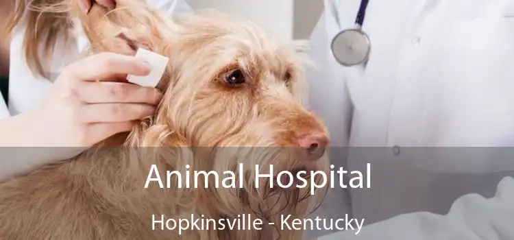 Animal Hospital Hopkinsville - Kentucky