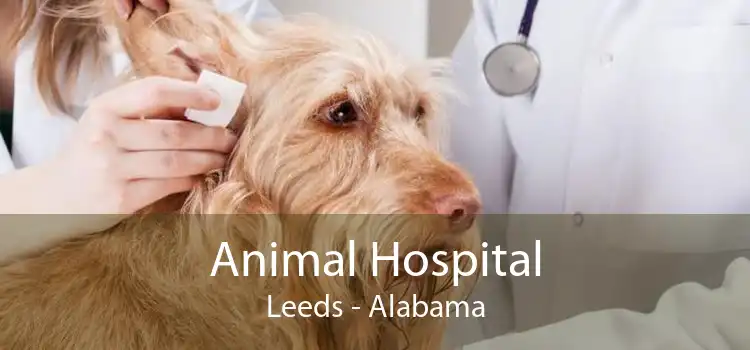 Animal Hospital Leeds - Alabama