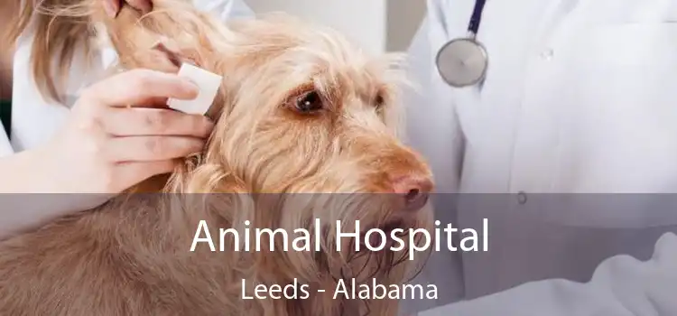 Animal Hospital Leeds - Alabama