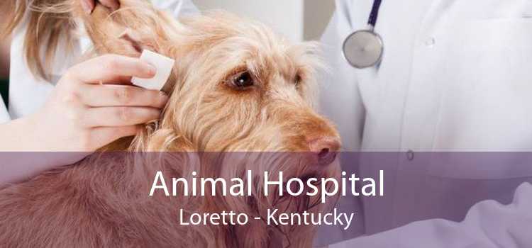 Animal Hospital Loretto - Kentucky