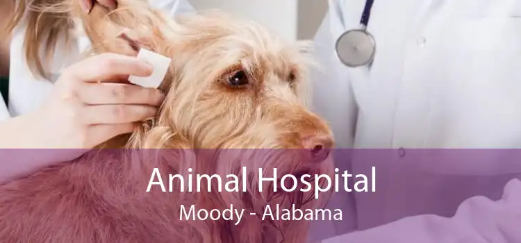 Animal Hospital Moody - Alabama