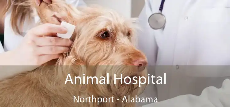Animal Hospital Northport - Alabama