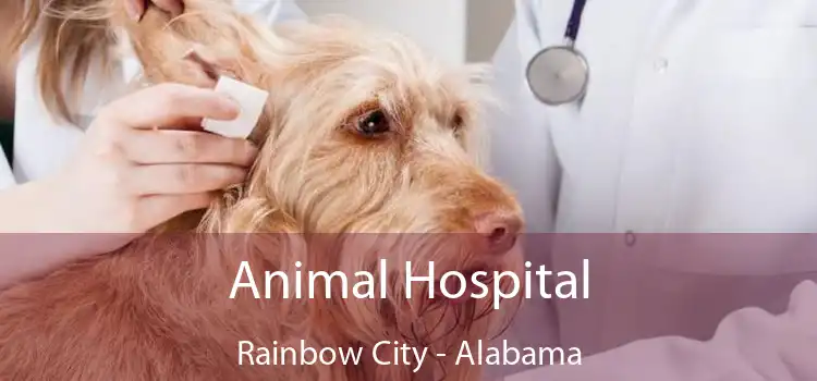 Animal Hospital Rainbow City - Alabama