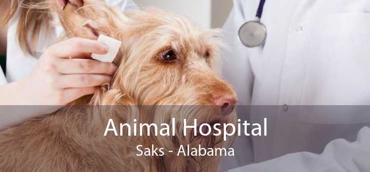 Animal Hospital Saks - Alabama