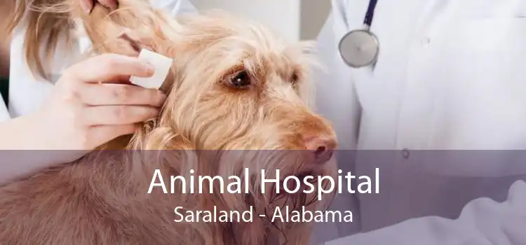 Animal Hospital Saraland - Alabama