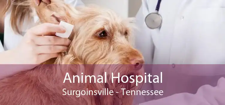 Animal Hospital Surgoinsville - Tennessee