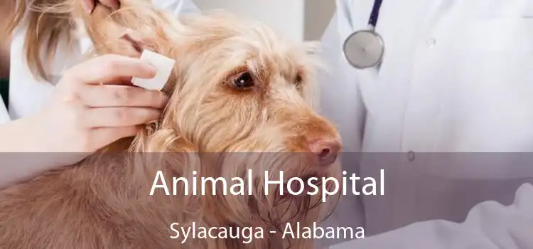 Animal Hospital Sylacauga - Alabama