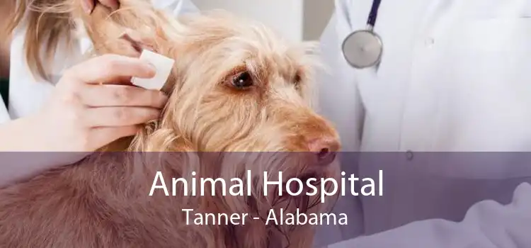 Animal Hospital Tanner - Alabama