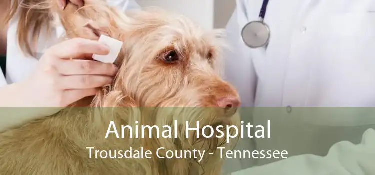 Animal Hospital Trousdale County - Tennessee