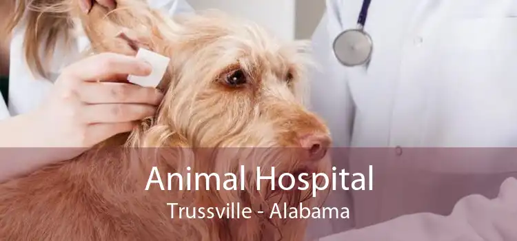 Animal Hospital Trussville - Alabama