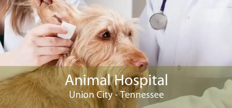 Animal Hospital Union City - Tennessee