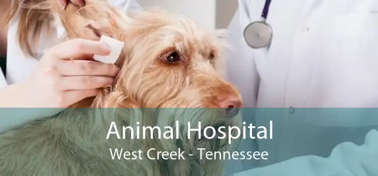 Animal Hospital West Creek - Tennessee