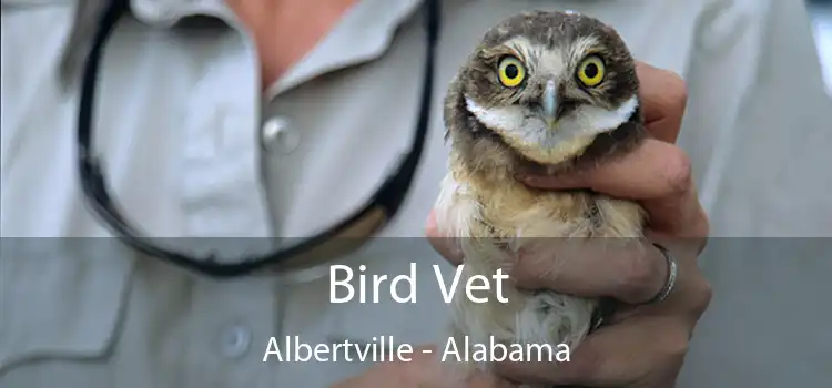 Bird Vet Albertville - Alabama