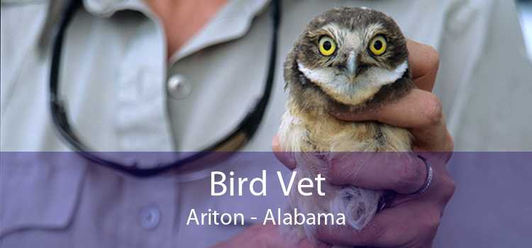 Bird Vet Ariton - Alabama
