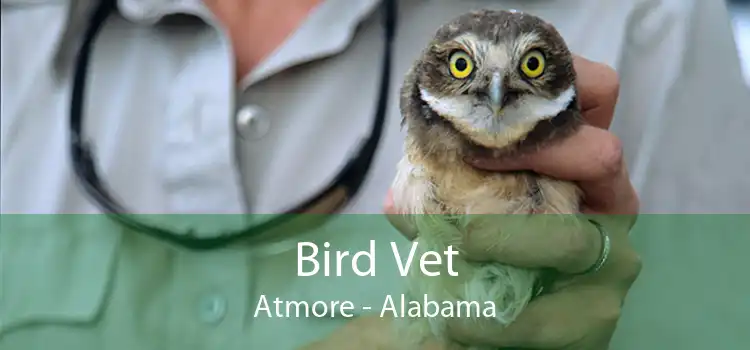 Bird Vet Atmore - Alabama