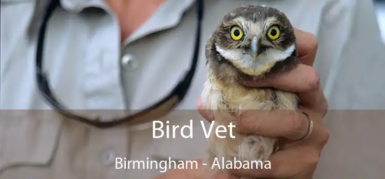 Bird Vet Birmingham - Alabama
