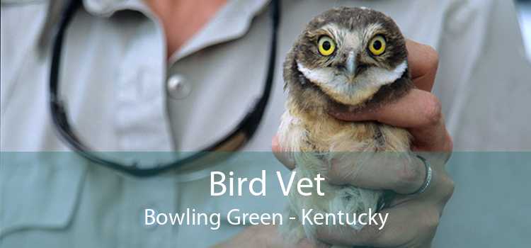 Bird Vet Bowling Green - Kentucky