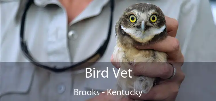 Bird Vet Brooks - Kentucky