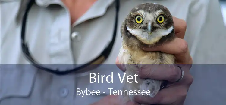 Bird Vet Bybee - Tennessee