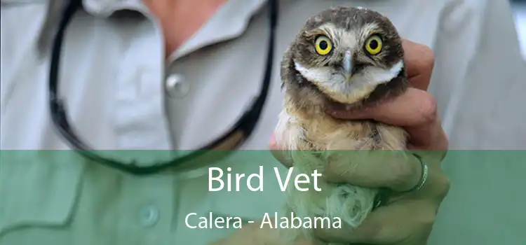 Bird Vet Calera - Alabama