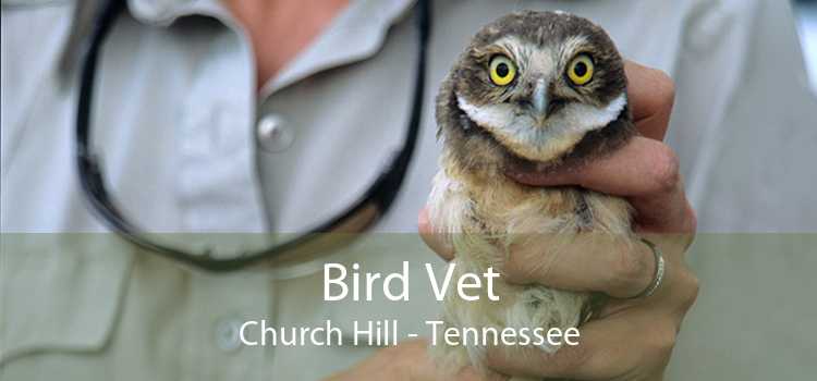 Bird Vet Church Hill - Tennessee
