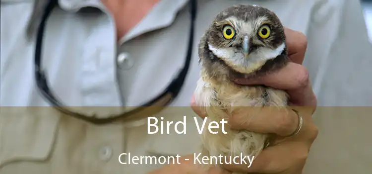 Bird Vet Clermont - Kentucky