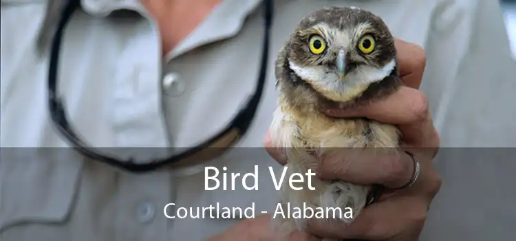 Bird Vet Courtland - Alabama