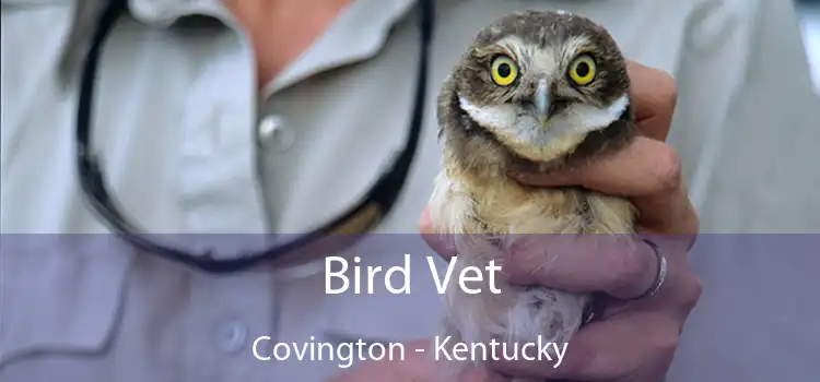 Bird Vet Covington - Kentucky