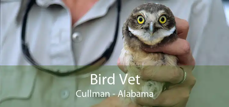 Bird Vet Cullman - Alabama